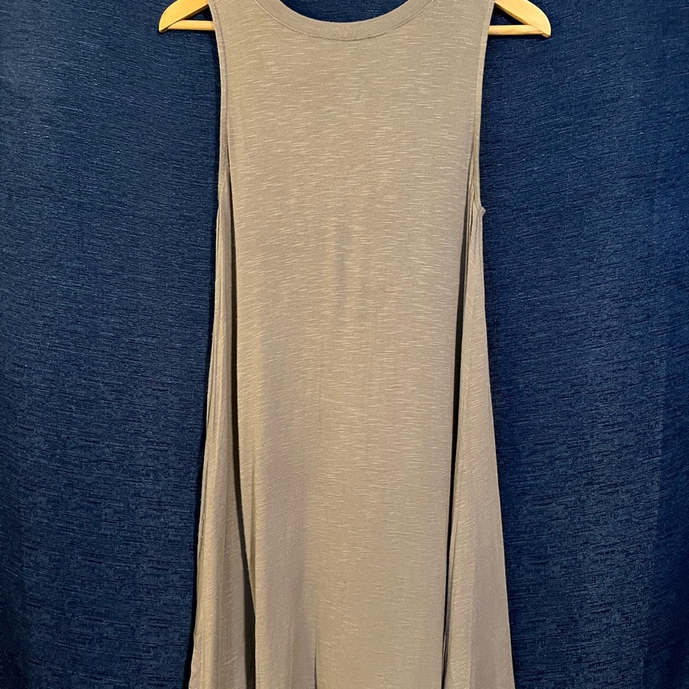 Sleeveless Taupe Fringe Back Dress